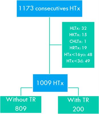 Epidemiological Study of Tricuspid Regurgitation After Cardiac Transplantation. Does it Influence Survival?